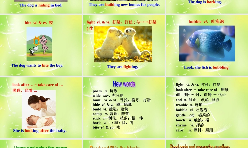 牛津译林初中英语七下Unit 8 Pets Reading I课件 .ppt