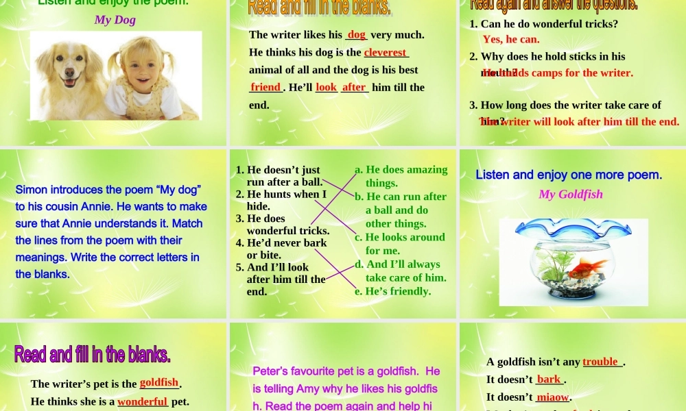 牛津译林初中英语七下Unit 8 Pets Reading I课件 .ppt