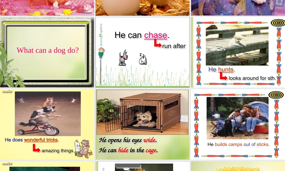 牛津译林初中英语七下Unit 8 Pets Reading课件 .ppt