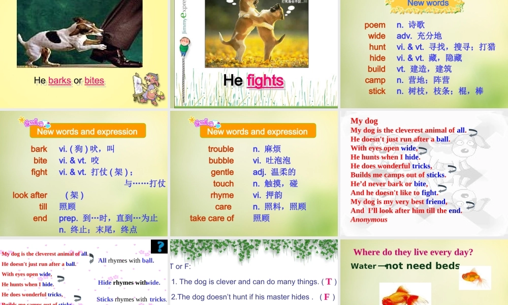 牛津译林初中英语七下Unit 8 Pets Reading课件 .ppt