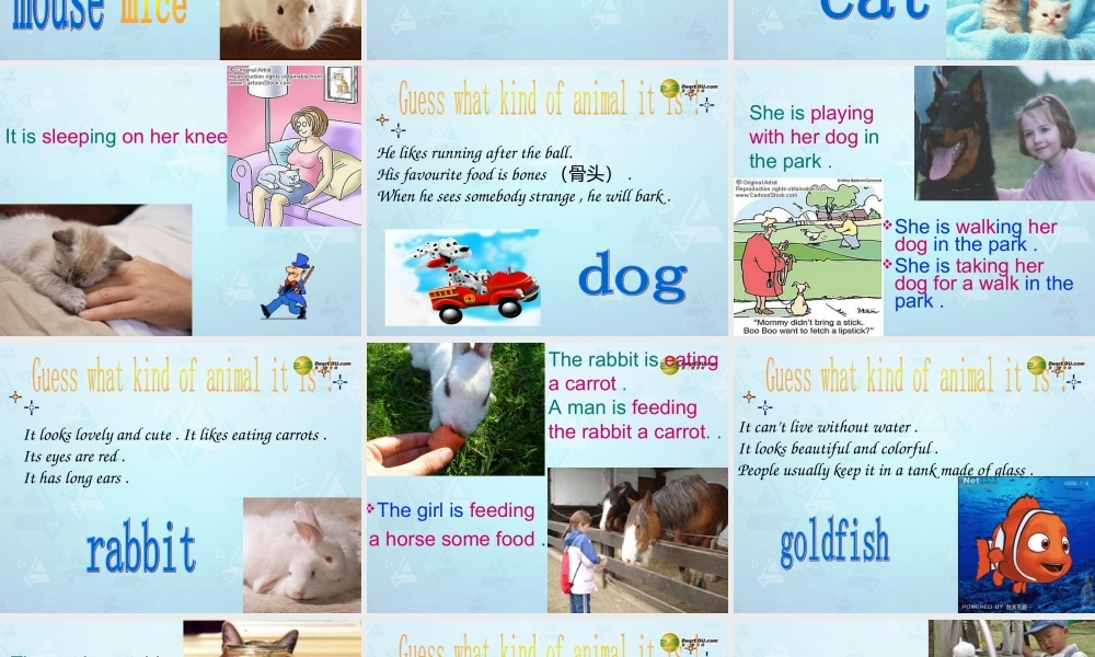 牛津译林初中英语七下Unit 8 Pets Welcome课件 .ppt