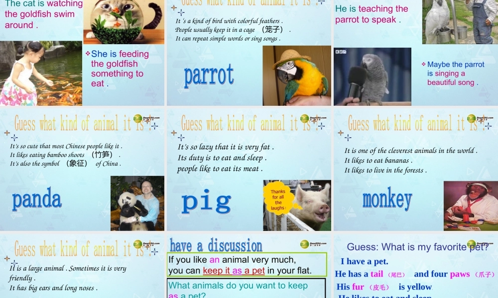 牛津译林初中英语七下Unit 8 Pets Welcome课件 .ppt