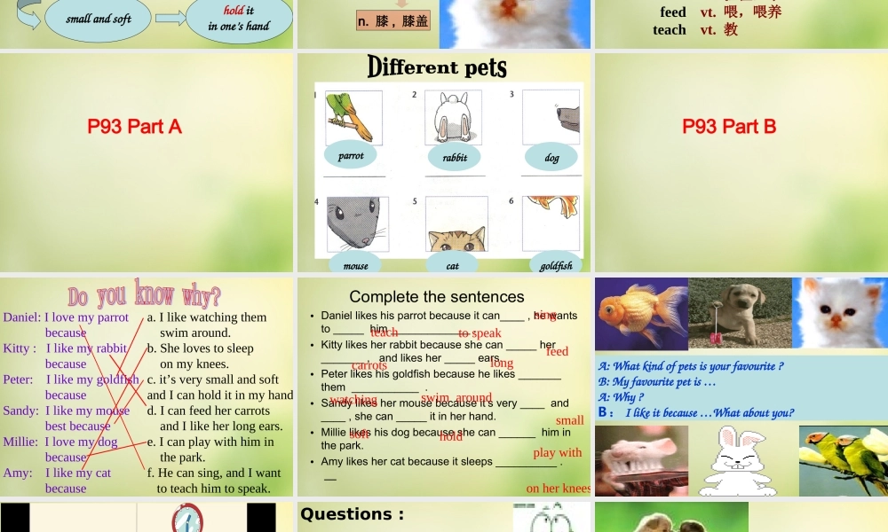 牛津译林初中英语七下Unit 8 Pets Welcome to the Unit & comic strip课件1 .ppt