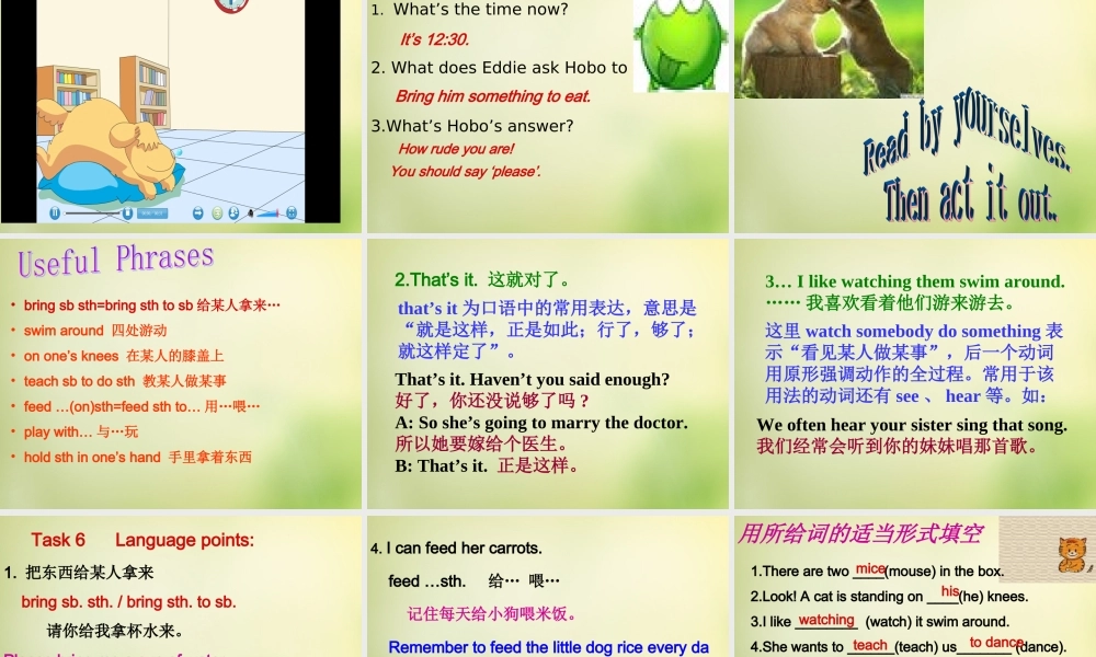 牛津译林初中英语七下Unit 8 Pets Welcome to the Unit & comic strip课件1 .ppt