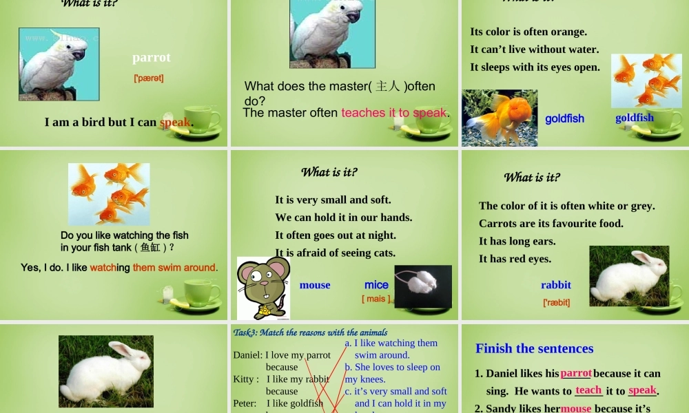 牛津译林初中英语七下Unit 8 Pets Welcome to the Unit & comic strip课件2 .ppt