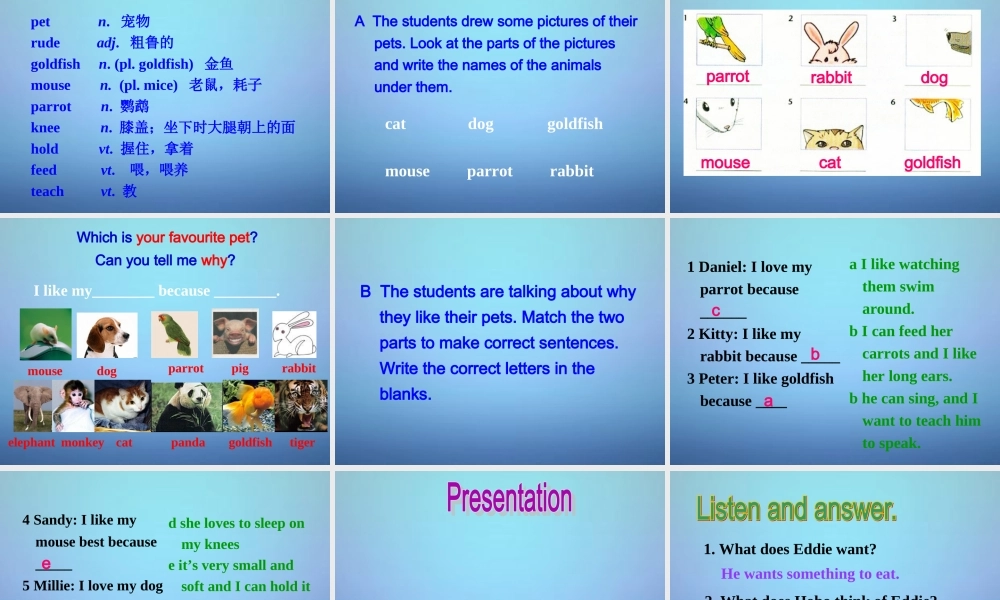 牛津译林初中英语七下Unit 8 Pets welcome to the Unit课件2 .ppt