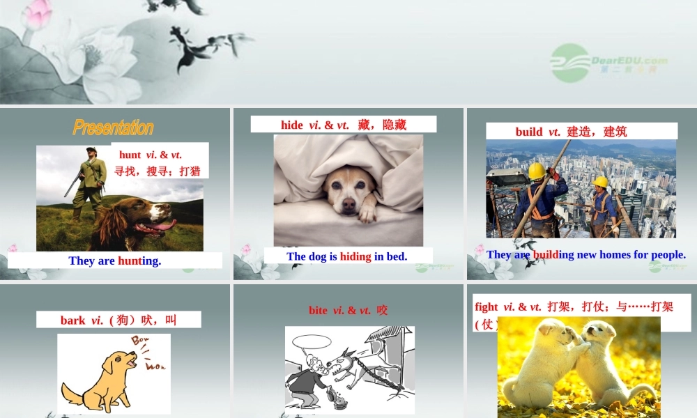 牛津译林初中英语七下Unit 8 Pets》Reading I课件 .ppt