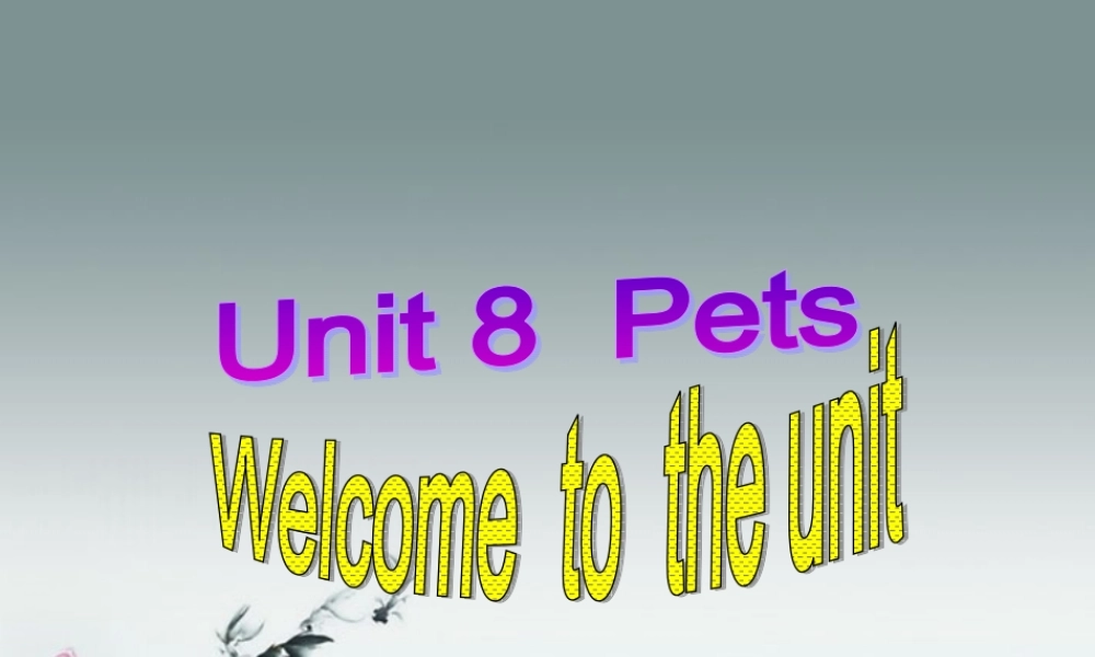 牛津译林初中英语七下Unit 8 Pets》Welcome to the unit课件 .ppt