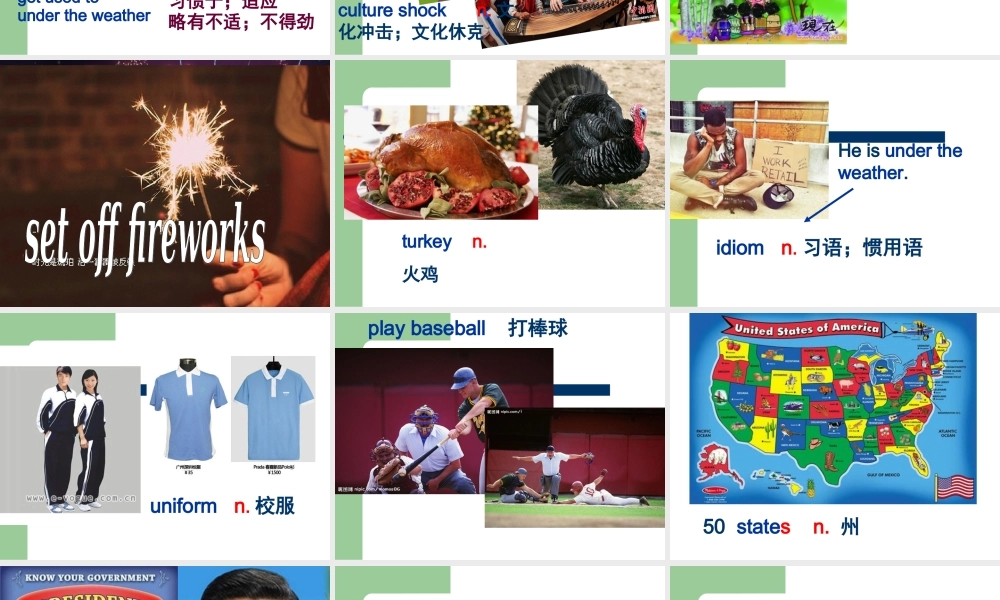 深圳市初中英语九年级级下Unit2 Culture shock教学课件 words.ppt