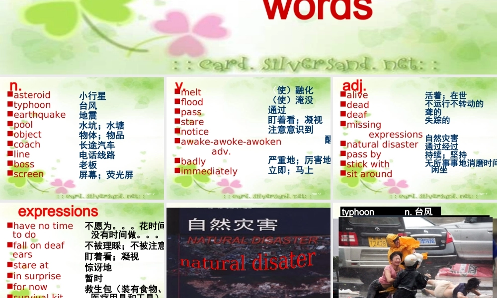 深圳市初中英语九年级级下Unit4 Natural disasters教学课件 words.ppt.ppt
