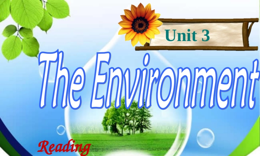 深圳市初中英语九年级级下Unit3 The environment 教学课件 reading.ppt