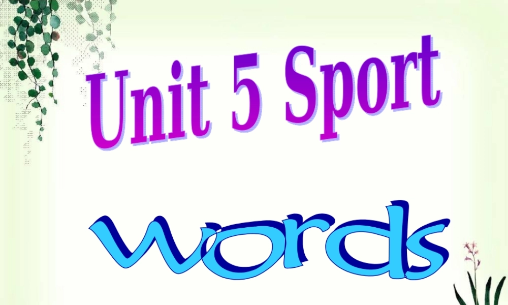 深圳市初中英语九年级级下Unit5 Sports教学课件 words.ppt
