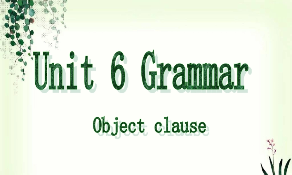 深圳市初中英语九年级级下Unit6 Caring for your health教学课件 grammar.ppt