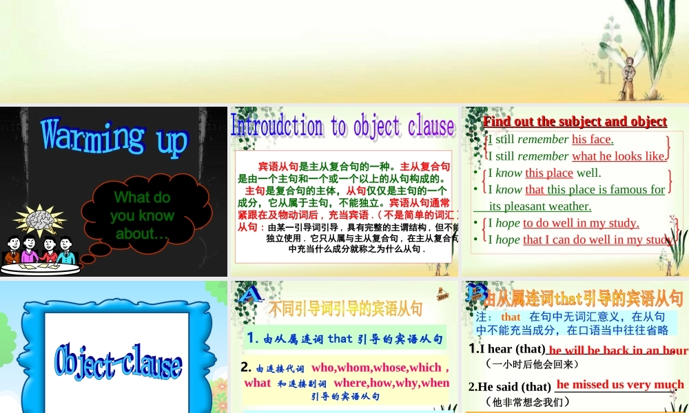 深圳市初中英语九年级级下Unit6 Caring for your health教学课件 grammar.ppt