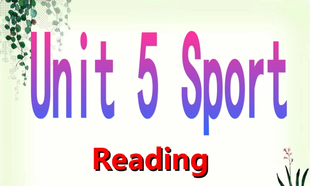 深圳市初中英语九年级级下Unit5 Sports教学课件Reading.ppt