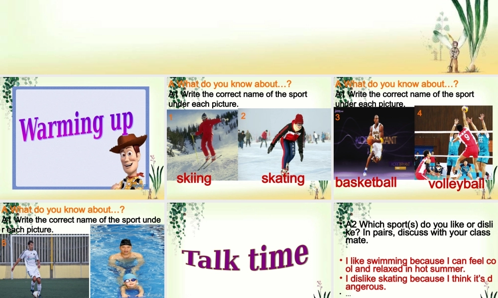 深圳市初中英语九年级级下Unit5 Sports教学课件Reading.ppt