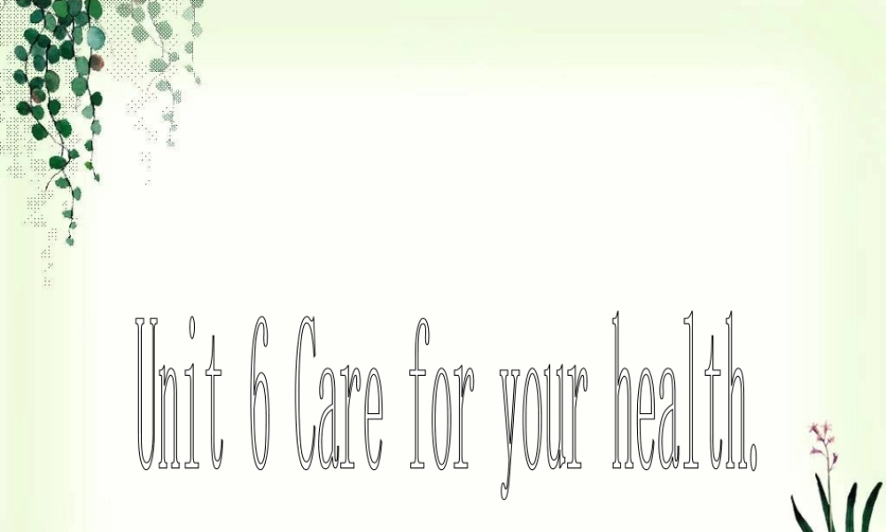 深圳市初中英语九年级级下Unit6 Caring for your health教学课件 words.ppt
