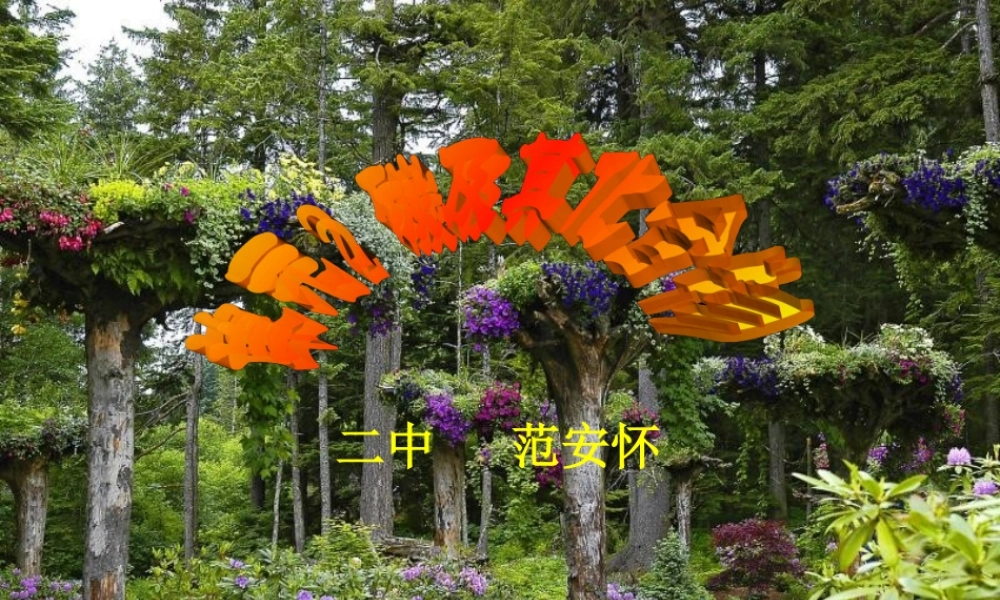 湘教初中化学九上《4单元2 碳及其化合物》PPT课件.ppt