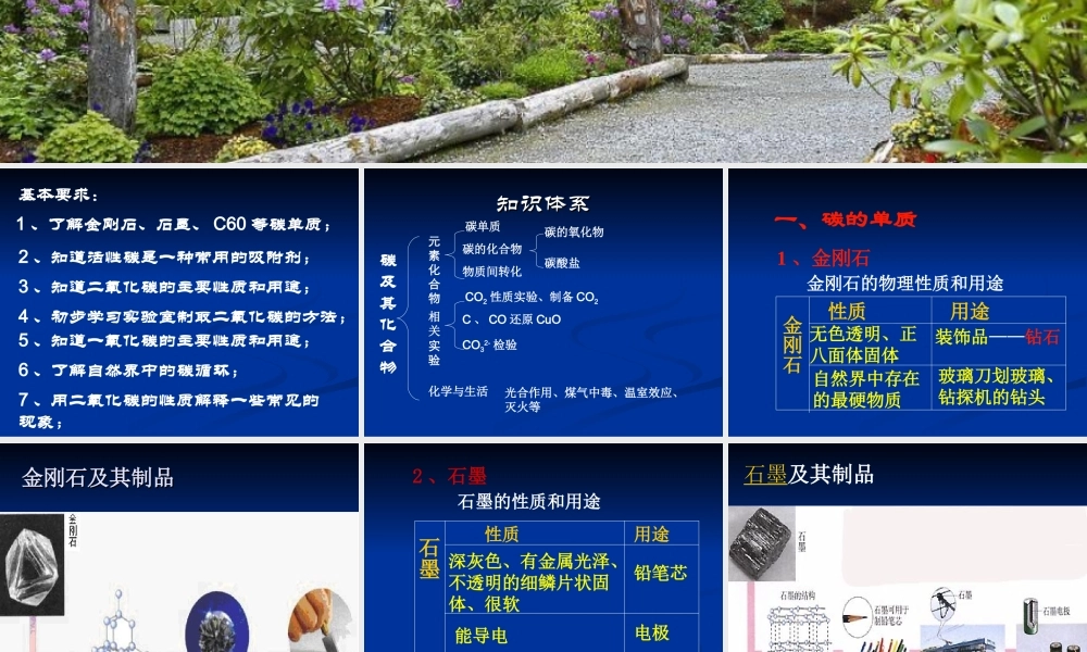 湘教初中化学九上《4单元2 碳及其化合物》PPT课件.ppt