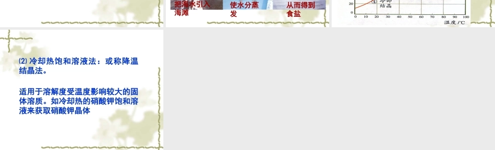 湘教初中化学九上《6单元2 物质的溶解性》PPT课件 (2).ppt