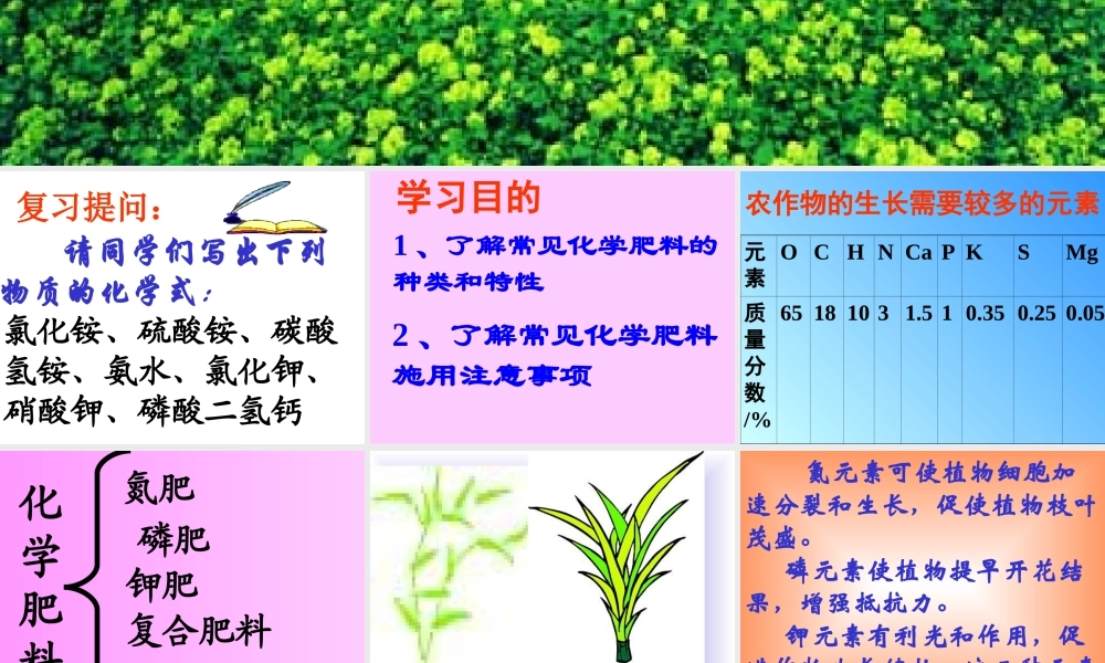 湘教初中化学九下《7单元3 盐 化学肥料》PPT课件 (3).ppt