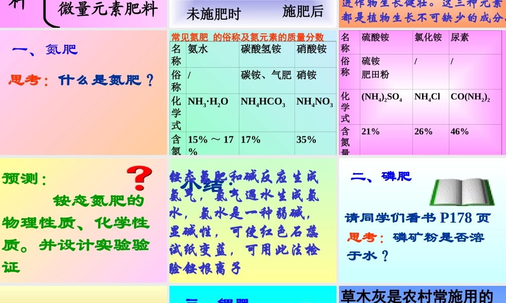 湘教初中化学九下《7单元3 盐 化学肥料》PPT课件 (3).ppt