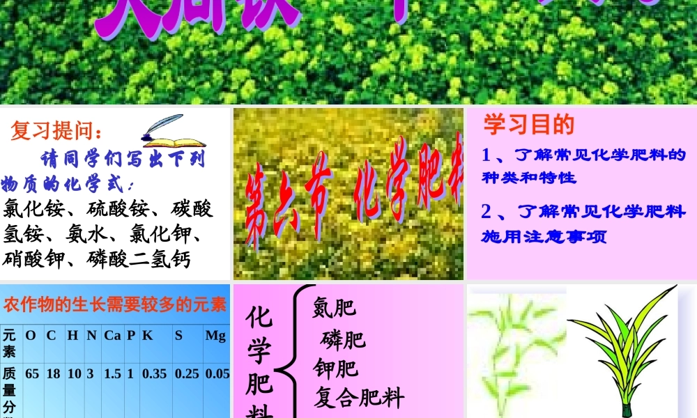 湘教初中化学九下《7单元3 盐 化学肥料》PPT课件 (2).ppt