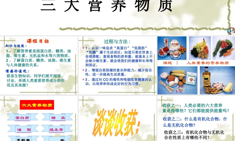 湘教初中化学九下《9单元1 生命必须的营养物质》PPT课件 (3).ppt