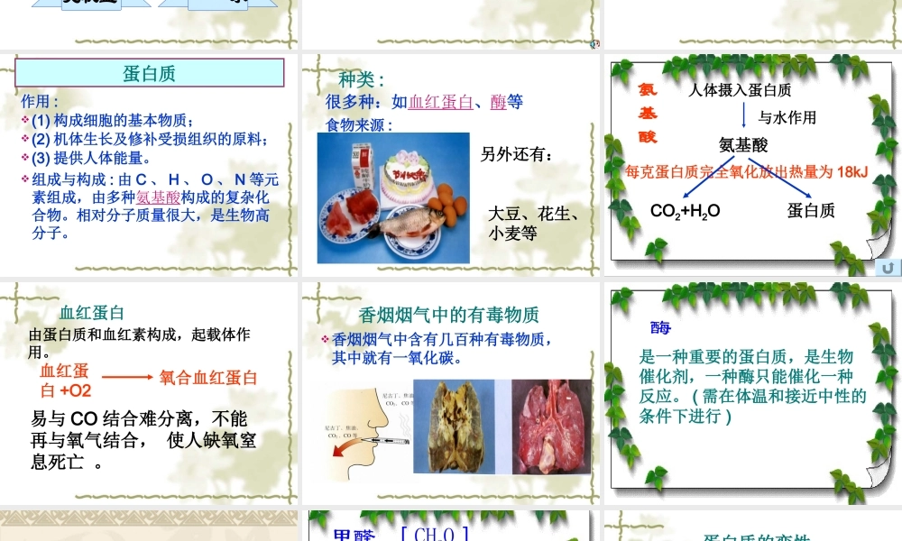 湘教初中化学九下《9单元1 生命必须的营养物质》PPT课件 (3).ppt