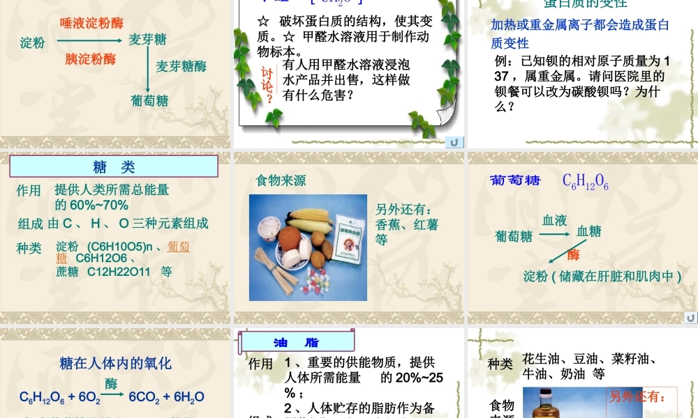 湘教初中化学九下《9单元1 生命必须的营养物质》PPT课件 (3).ppt