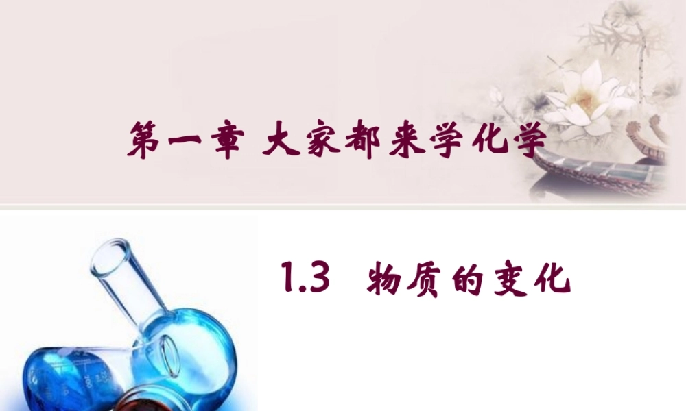 粤教初中化学九上《1.3 物质的变化》PPT课件 (7).ppt