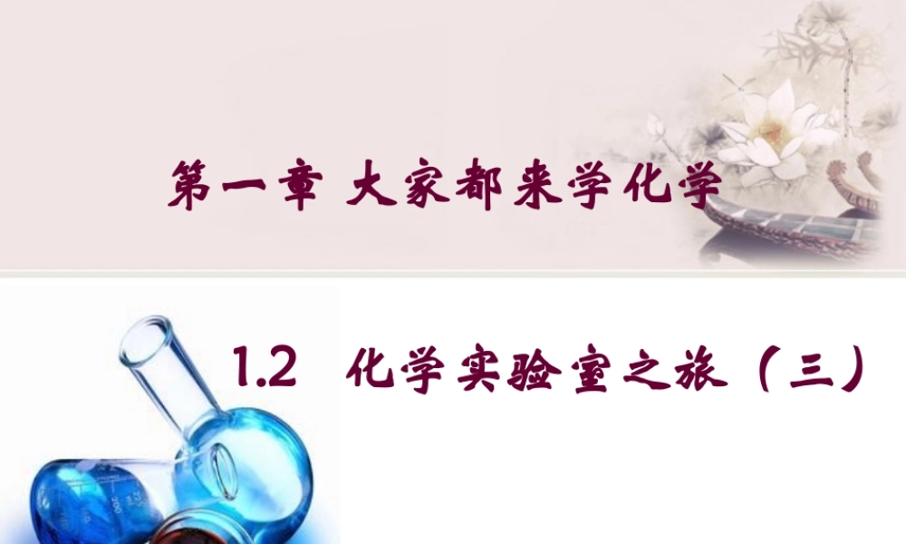 粤教初中化学九上《1.2 化学实验室之旅》PPT课件 (11).ppt