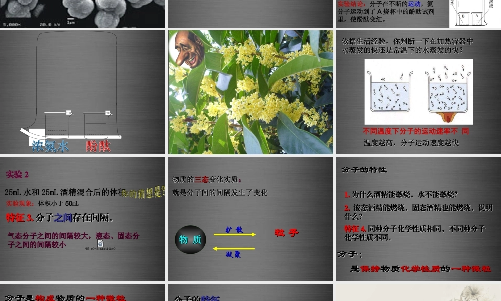 粤教初中化学九上《2.2 构成物质的微粒（Ⅰ）—分子》PPT课件 (4).ppt