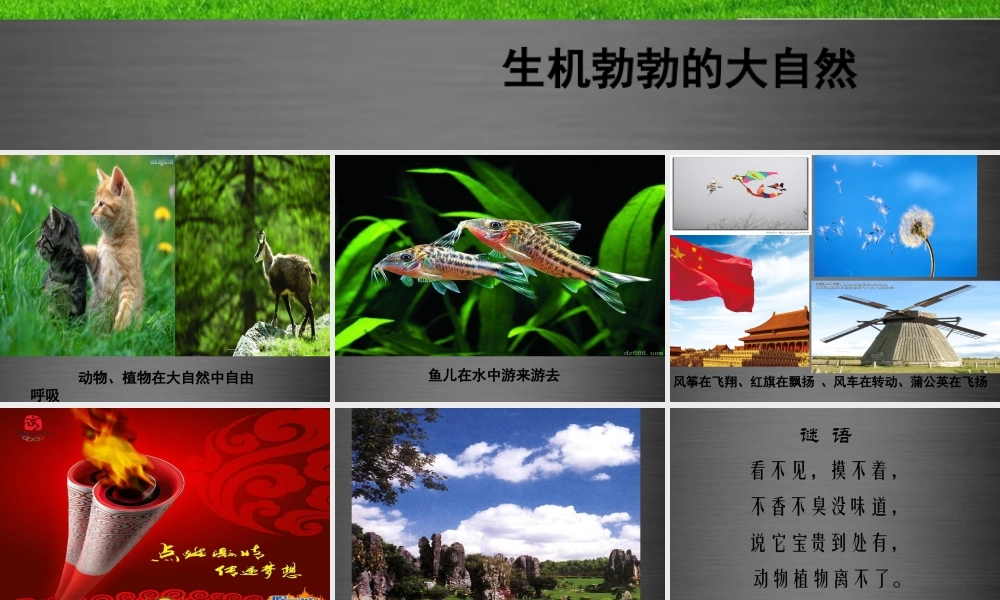 粤教初中化学九上《2.1 空气的成分》PPT课件 (10).ppt