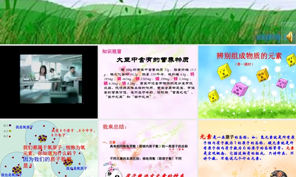 粤教初中化学九上《2.4 辨别物质的元素组成》PPT课件 (1).ppt