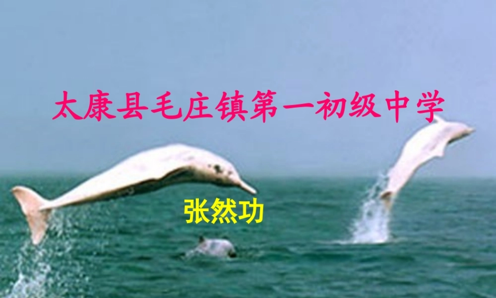 粤教初中化学九上《2.4 辨别物质的元素组成》PPT课件 (9).ppt