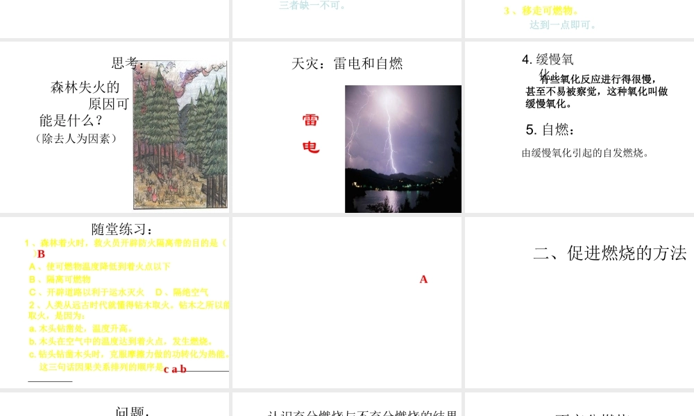 粤教初中化学九上《3.3 燃烧条件与灭火原理》PPT课件 (3).ppt