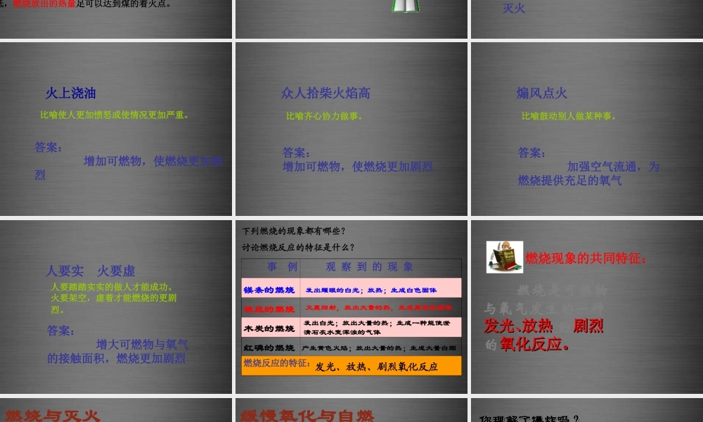 粤教初中化学九上《3.3 燃烧条件与灭火原理》PPT课件 (12).ppt
