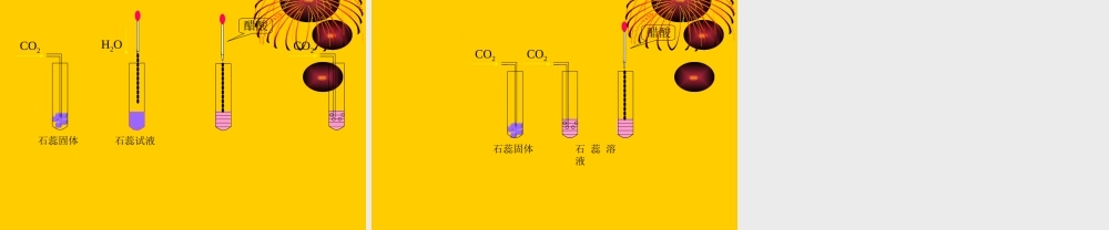 粤教初中化学九上《5.3 二氧化碳的性质和制法》PPT课件 (5).ppt