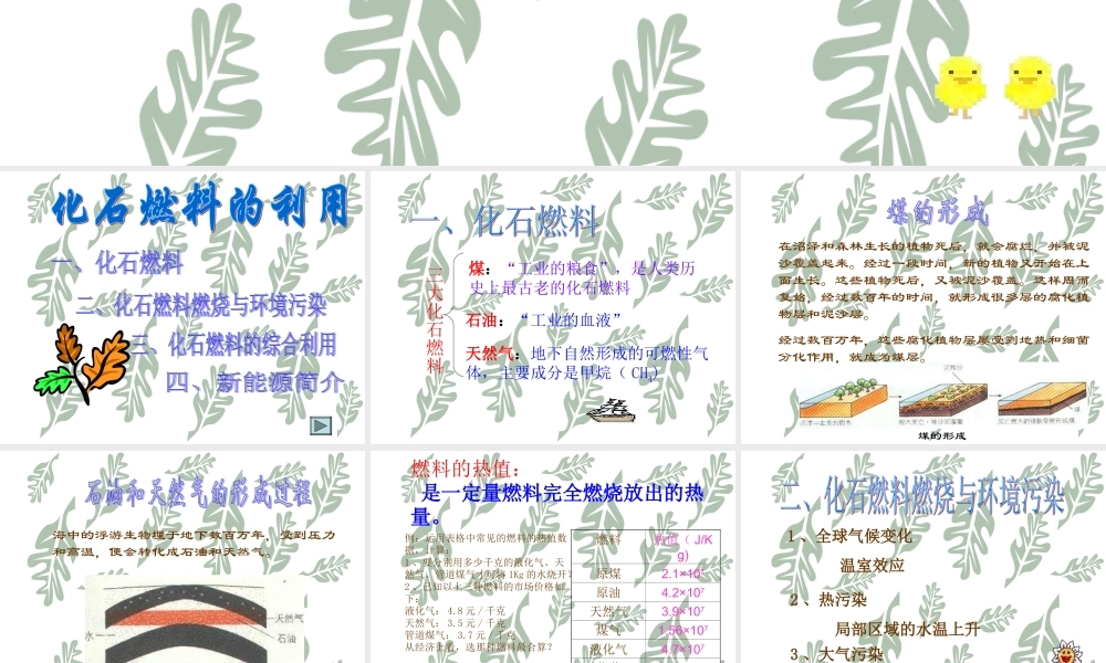 粤教初中化学九上《5.4 古生物的“遗产”—化石燃料》PPT课件 (3).ppt