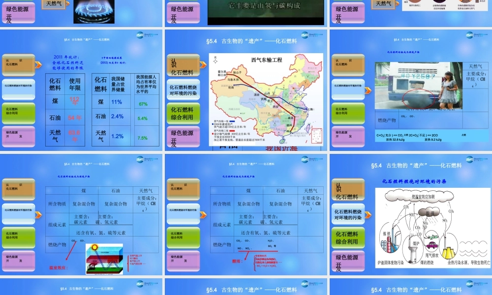 粤教初中化学九上《5.4 古生物的“遗产”—化石燃料》PPT课件 (2).ppt