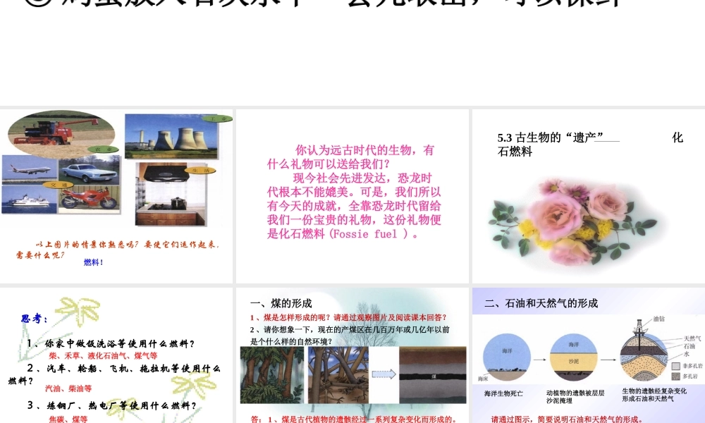 粤教初中化学九上《5.4 古生物的“遗产”—化石燃料》PPT课件 (1).ppt