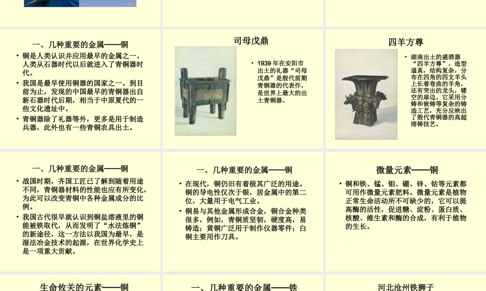 粤教初中化学九下《6.0第六章 金属》PPT课件 (2).ppt