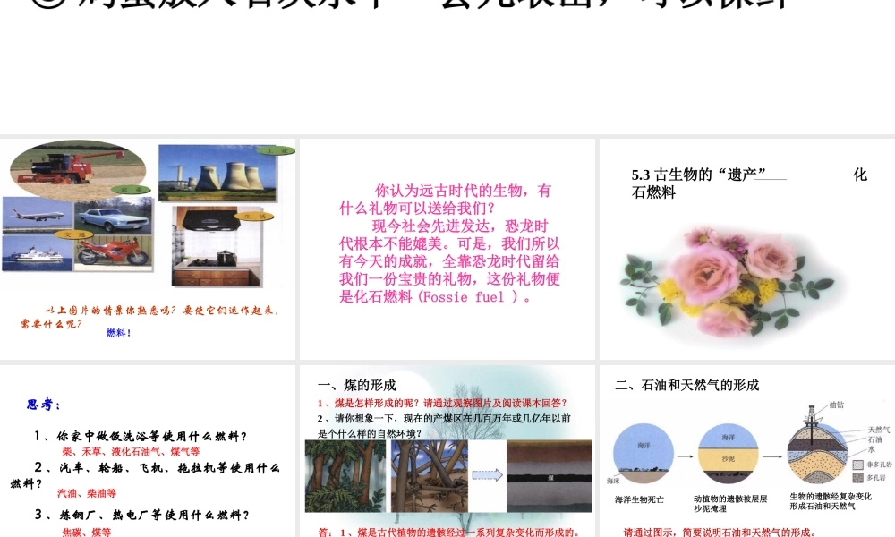 粤教初中化学九上《5.4 古生物的“遗产”—化石燃料》PPT课件 (4).ppt