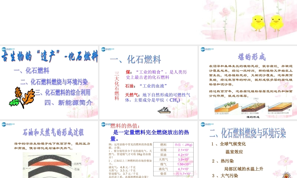 粤教初中化学九上《5.4 古生物的“遗产”—化石燃料》PPT课件 (5).ppt