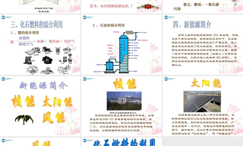 粤教初中化学九上《5.4 古生物的“遗产”—化石燃料》PPT课件 (5).ppt