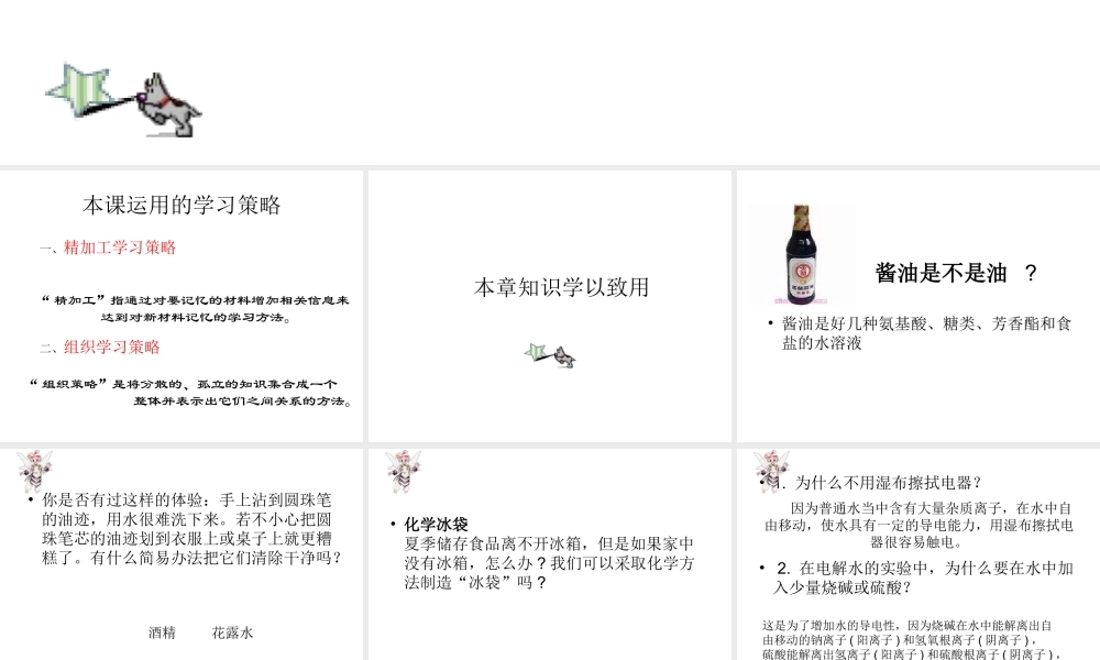 粤教初中化学九下《7.0第七章 溶液》PPT课件 (2).ppt