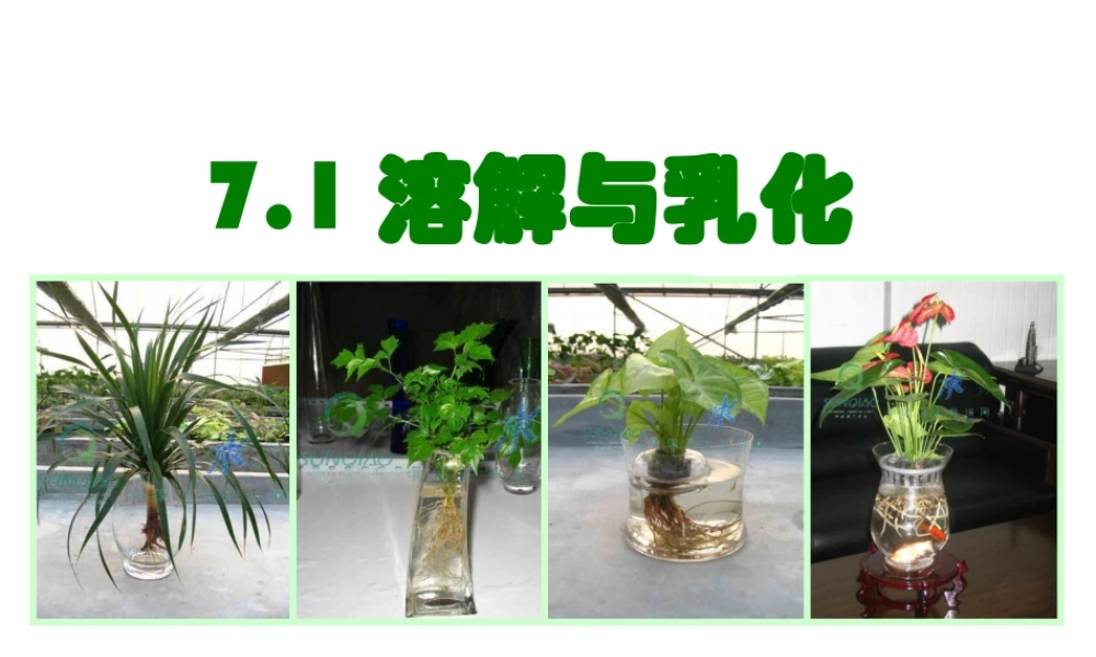 粤教初中化学九下《7.1 溶解与乳化》PPT课件 (1).ppt