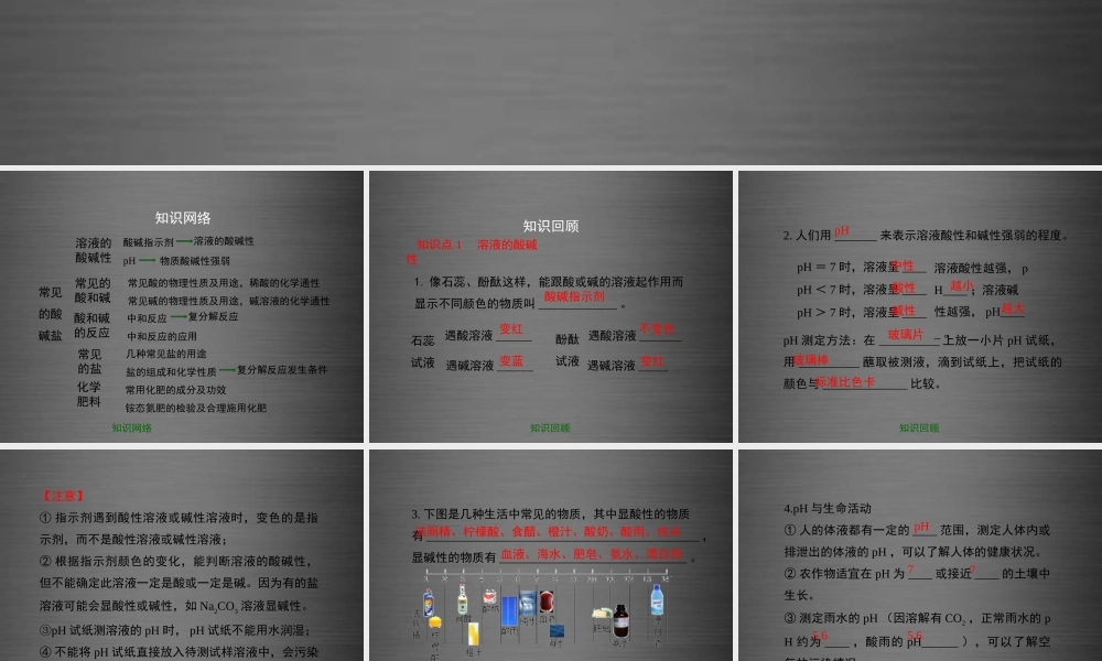 粤教初中化学九下《8.0第八章 常见的酸、碱、盐》PPT课件 (5).ppt