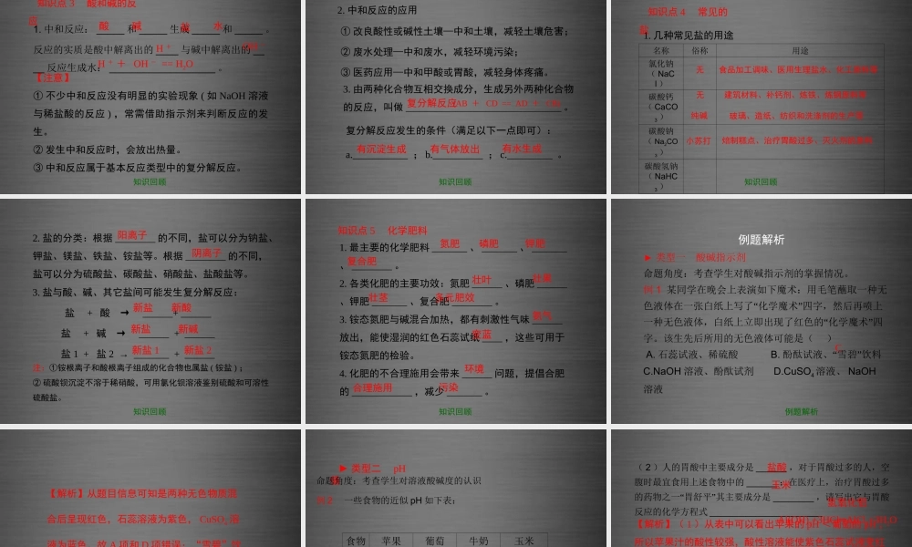 粤教初中化学九下《8.0第八章 常见的酸、碱、盐》PPT课件 (5).ppt